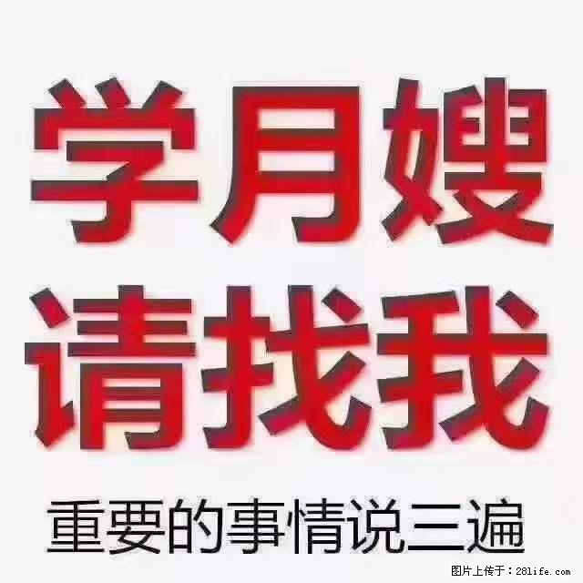为什么要学习月嫂，育婴师？ - 其他广告 - 广告专区 - 巴彦淖尔盟分类信息 - 巴彦淖尔盟28生活网 bycem.28life.com