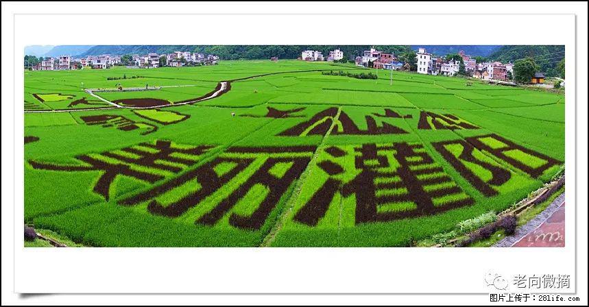 【春天，广西桂林灌阳县向您发出邀请！】开篇 - 游山玩水 - 巴彦淖尔盟生活社区 - 巴彦淖尔盟28生活网 bycem.28life.com