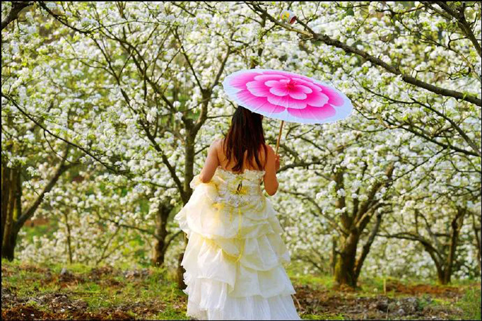 【春天，广西桂林灌阳县向您发出邀请！】我们在灌阳看梨花 - 游山玩水 - 巴彦淖尔盟生活社区 - 巴彦淖尔盟28生活网 bycem.28life.com