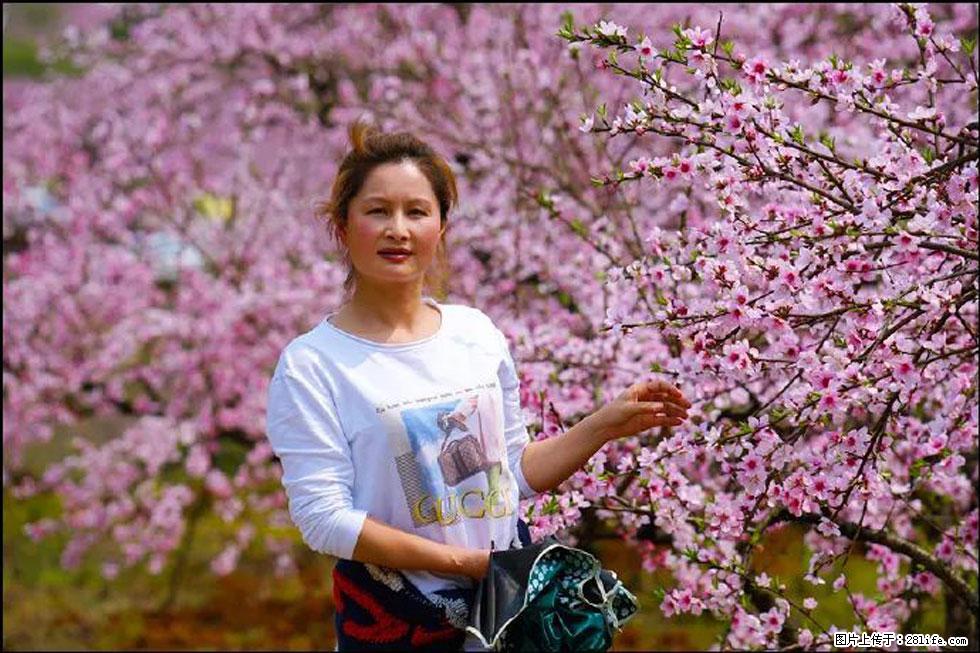 【春天，广西桂林灌阳县向您发出邀请！】官庄村有个醉美的桃花园 - 游山玩水 - 巴彦淖尔盟生活社区 - 巴彦淖尔盟28生活网 bycem.28life.com