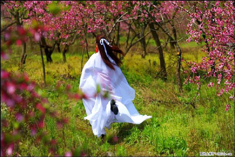 【春天，广西桂林灌阳县向您发出邀请！】官庄村有个醉美的桃花园 - 游山玩水 - 巴彦淖尔盟生活社区 - 巴彦淖尔盟28生活网 bycem.28life.com