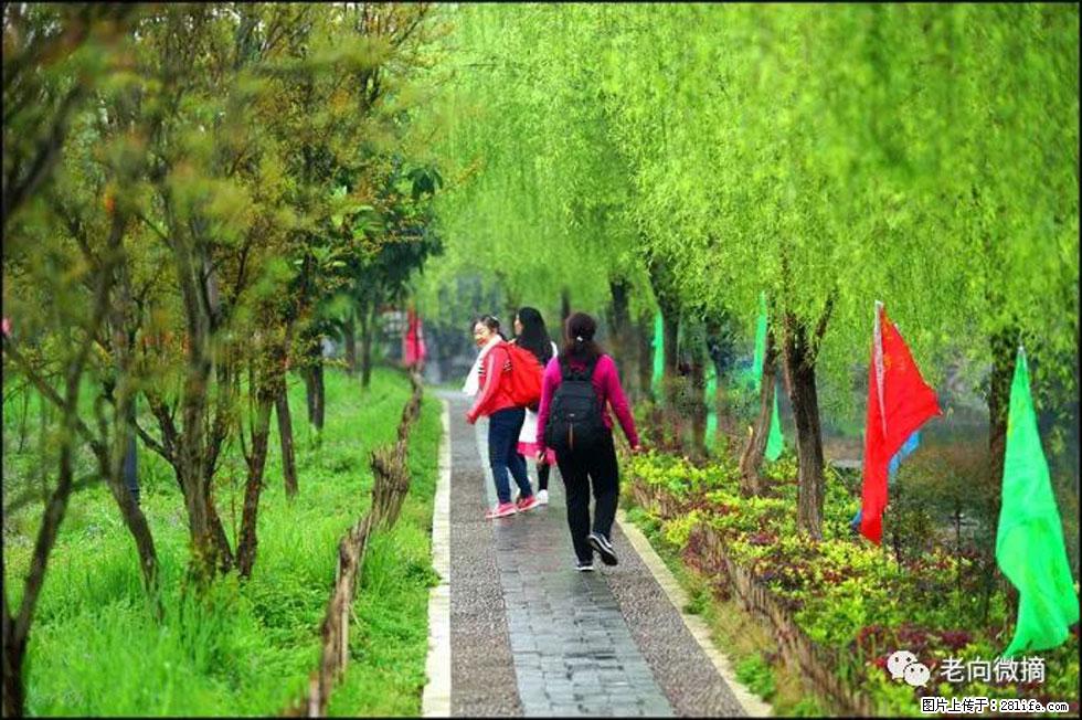 【春天,广西桂林灌阳县向您发出邀请!】江口老街又逢春 - 游山玩水 - 巴彦淖尔盟生活社区 - 巴彦淖尔盟28生活网 bycem.28life.com