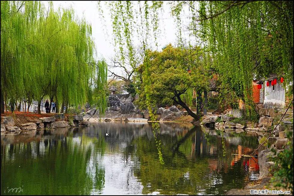 【春天,广西桂林灌阳县向您发出邀请!】江口老街又逢春 - 游山玩水 - 巴彦淖尔盟生活社区 - 巴彦淖尔盟28生活网 bycem.28life.com