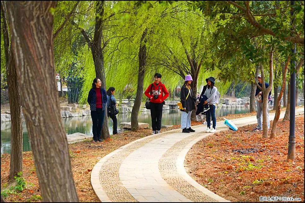 【春天,广西桂林灌阳县向您发出邀请!】江口老街又逢春 - 游山玩水 - 巴彦淖尔盟生活社区 - 巴彦淖尔盟28生活网 bycem.28life.com