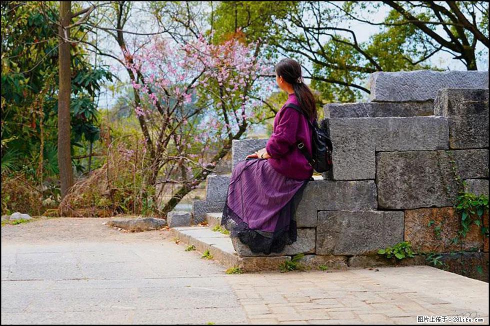 【春天,广西桂林灌阳县向您发出邀请!】江口老街又逢春 - 游山玩水 - 巴彦淖尔盟生活社区 - 巴彦淖尔盟28生活网 bycem.28life.com