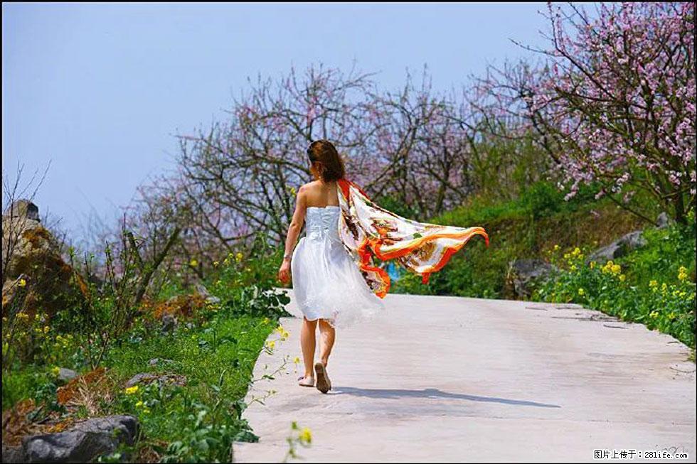 【春天，广西桂林灌阳县向您发出邀请！】望月岭上桃花开 - 游山玩水 - 巴彦淖尔盟生活社区 - 巴彦淖尔盟28生活网 bycem.28life.com