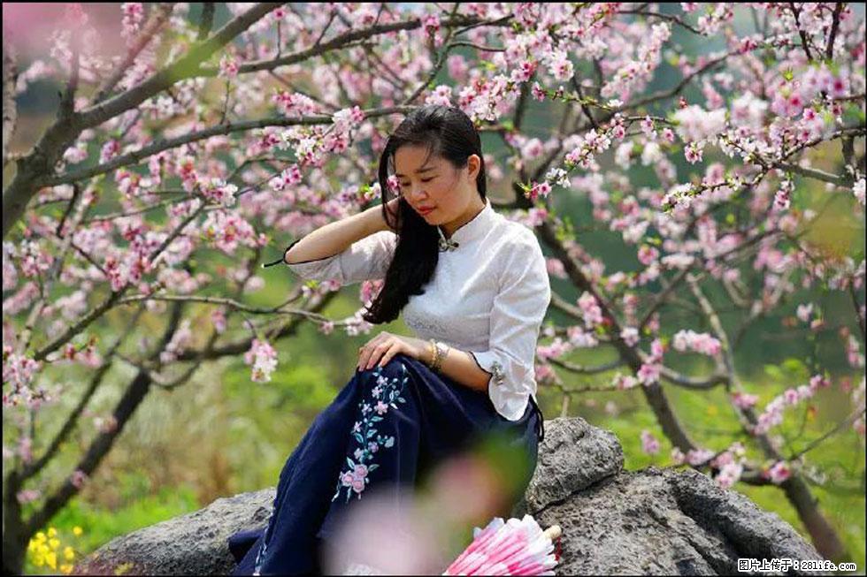 【春天，广西桂林灌阳县向您发出邀请！】望月岭上桃花开 - 游山玩水 - 巴彦淖尔盟生活社区 - 巴彦淖尔盟28生活网 bycem.28life.com