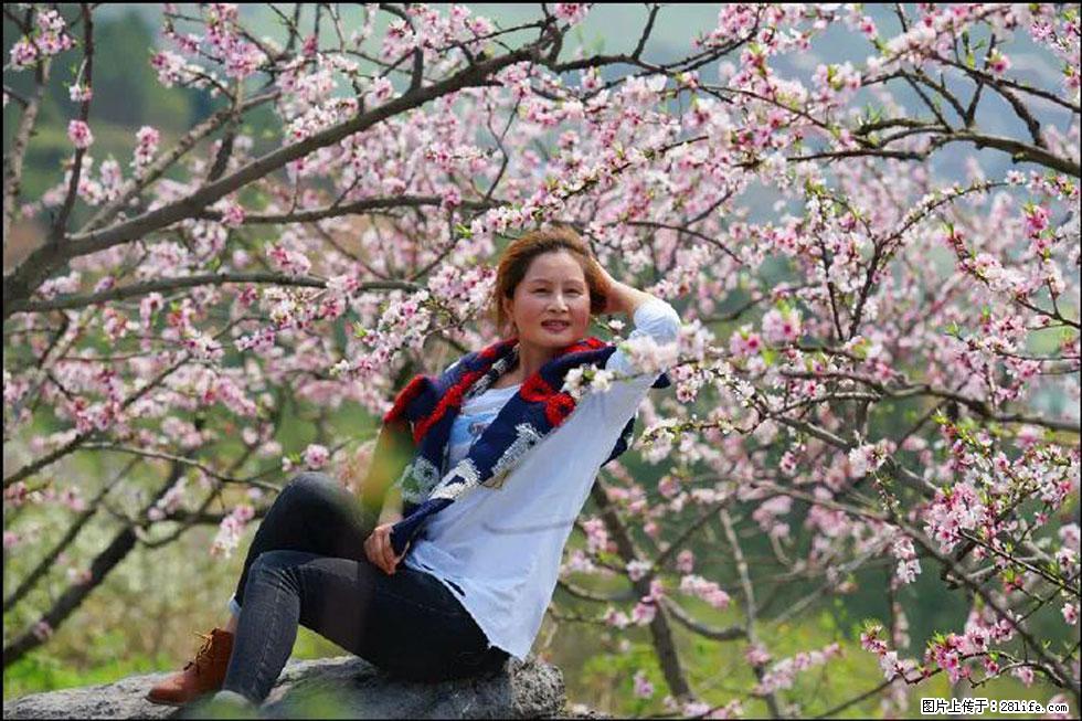 【春天，广西桂林灌阳县向您发出邀请！】望月岭上桃花开 - 游山玩水 - 巴彦淖尔盟生活社区 - 巴彦淖尔盟28生活网 bycem.28life.com