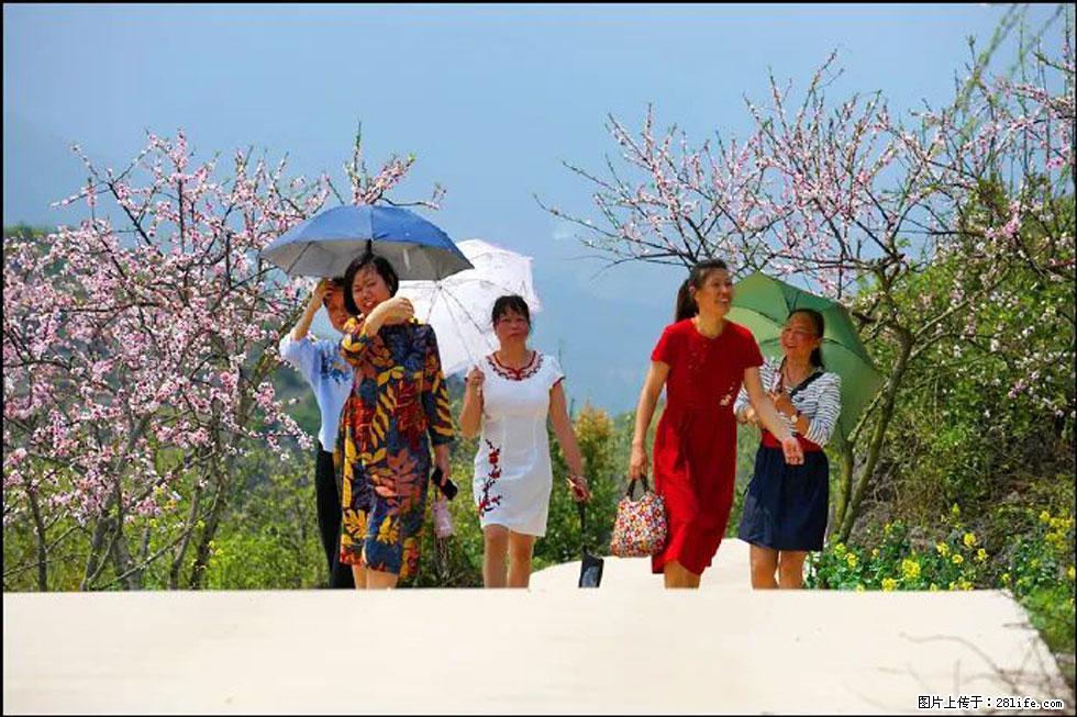 【春天，广西桂林灌阳县向您发出邀请！】望月岭上桃花开 - 游山玩水 - 巴彦淖尔盟生活社区 - 巴彦淖尔盟28生活网 bycem.28life.com