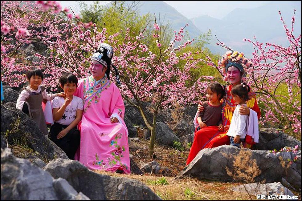 【春天，广西桂林灌阳县向您发出邀请！】望月岭上桃花开 - 游山玩水 - 巴彦淖尔盟生活社区 - 巴彦淖尔盟28生活网 bycem.28life.com
