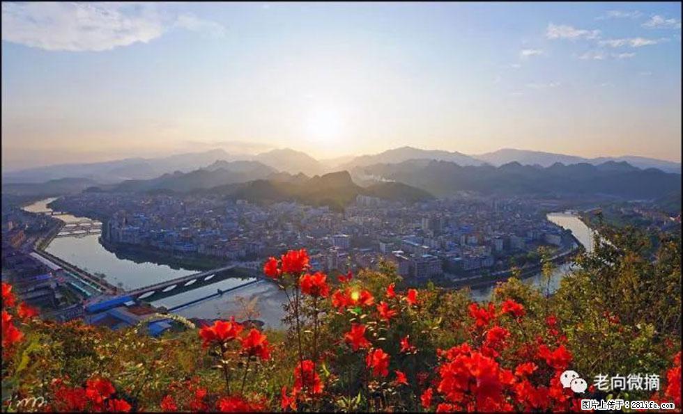 【春天，广西桂林灌阳县向您发出邀请！】登麒麟山，相约映山红 - 游山玩水 - 巴彦淖尔盟生活社区 - 巴彦淖尔盟28生活网 bycem.28life.com