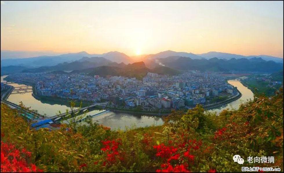 【春天，广西桂林灌阳县向您发出邀请！】登麒麟山，相约映山红 - 游山玩水 - 巴彦淖尔盟生活社区 - 巴彦淖尔盟28生活网 bycem.28life.com