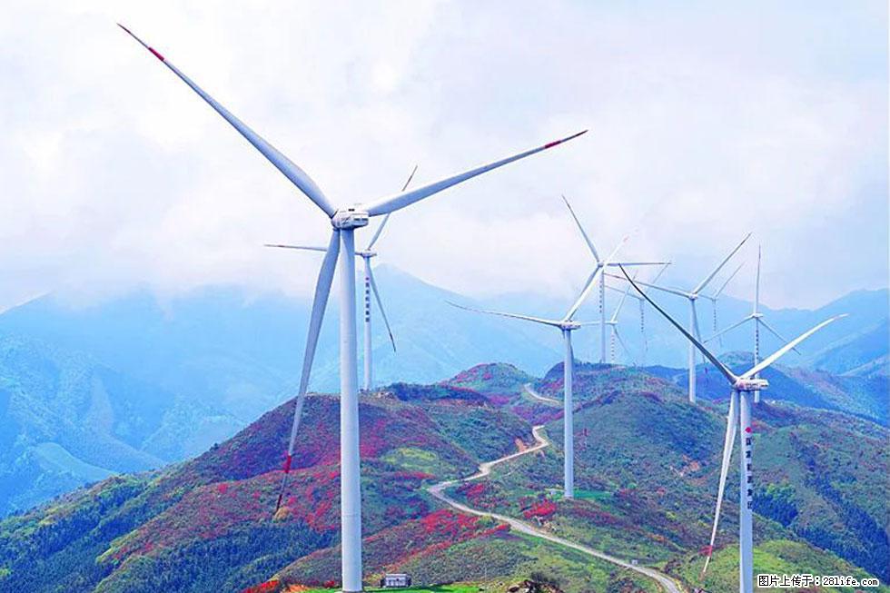 【春天，广西桂林灌阳县向您发出邀请！】春木界上映山红 - 游山玩水 - 巴彦淖尔盟生活社区 - 巴彦淖尔盟28生活网 bycem.28life.com