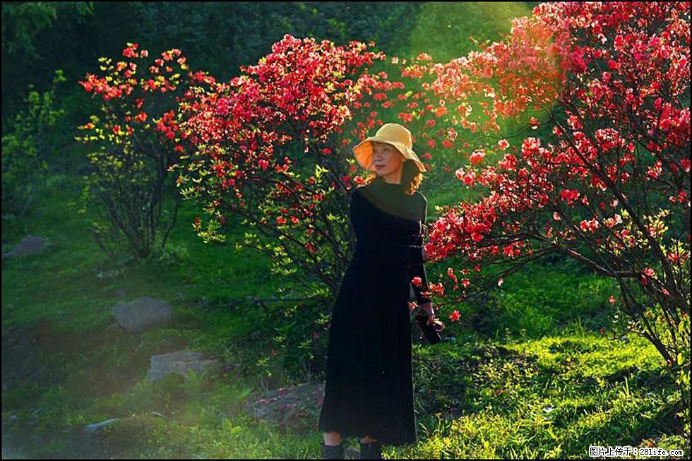 【春天，广西桂林灌阳县向您发出邀请！】春木界上映山红 - 游山玩水 - 巴彦淖尔盟生活社区 - 巴彦淖尔盟28生活网 bycem.28life.com