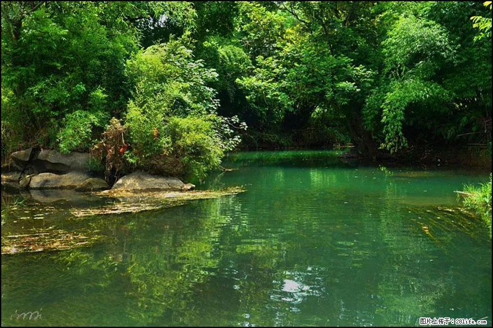 【春天,广西桂林灌阳县向您发出邀请!】如梦似幻莲溪庐 - 游山玩水 - 巴彦淖尔盟生活社区 - 巴彦淖尔盟28生活网 bycem.28life.com