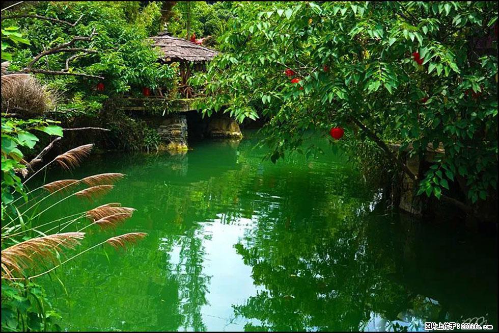 【春天,广西桂林灌阳县向您发出邀请!】如梦似幻莲溪庐 - 游山玩水 - 巴彦淖尔盟生活社区 - 巴彦淖尔盟28生活网 bycem.28life.com