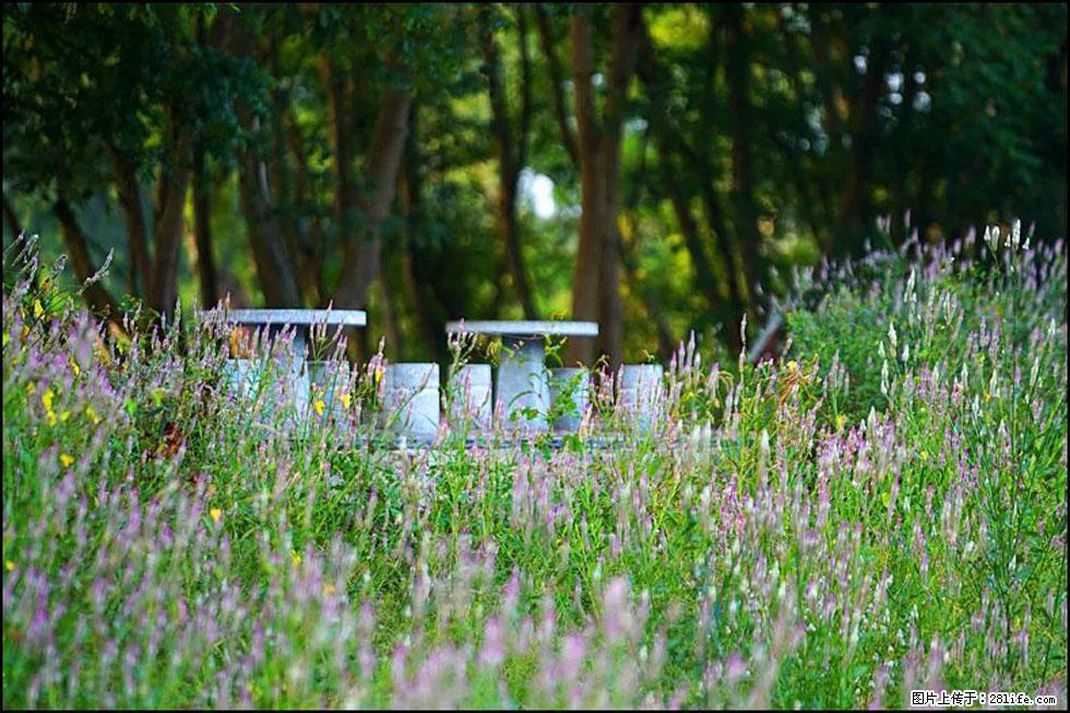 【春天，广西桂林灌阳县向您发出邀请！】熊家寨湿地公园 - 游山玩水 - 巴彦淖尔盟生活社区 - 巴彦淖尔盟28生活网 bycem.28life.com