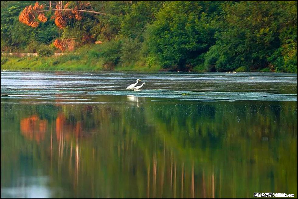 【春天，广西桂林灌阳县向您发出邀请！】熊家寨湿地公园 - 游山玩水 - 巴彦淖尔盟生活社区 - 巴彦淖尔盟28生活网 bycem.28life.com