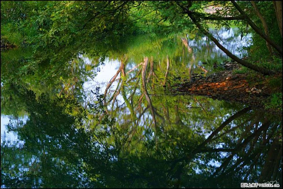 【春天，广西桂林灌阳县向您发出邀请！】熊家寨湿地公园 - 游山玩水 - 巴彦淖尔盟生活社区 - 巴彦淖尔盟28生活网 bycem.28life.com