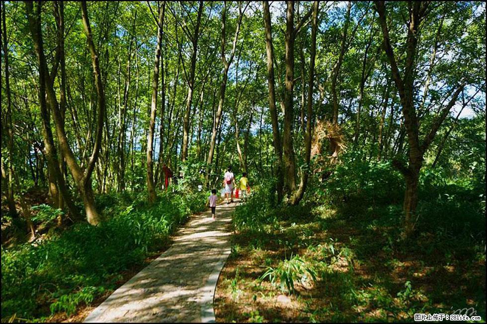 【春天，广西桂林灌阳县向您发出邀请！】熊家寨湿地公园 - 游山玩水 - 巴彦淖尔盟生活社区 - 巴彦淖尔盟28生活网 bycem.28life.com