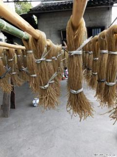 【灌阳正宗红薯粉】美女家里自己做的，干净卫生，假一赔十，价格合理，抢购电话：13737312895 - 巴彦淖尔盟28生活网 bycem.28life.com