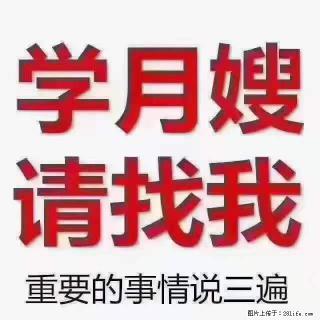 为什么要学习月嫂，育婴师？ - 巴彦淖尔盟28生活网 bycem.28life.com
