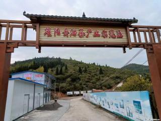 【灌阳县油茶产业示范区】一个有着充实的精神生活的人，对待身外之物自会有一种淡泊的态度 - 巴彦淖尔盟28生活网 bycem.28life.com