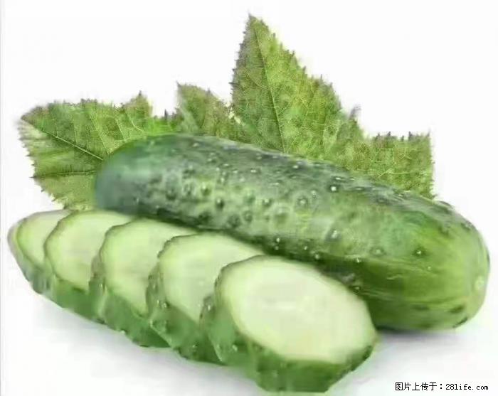 【生活小常识】吃黄瓜的好处 - 生活百科 - 巴彦淖尔盟生活社区 - 巴彦淖尔盟28生活网 bycem.28life.com