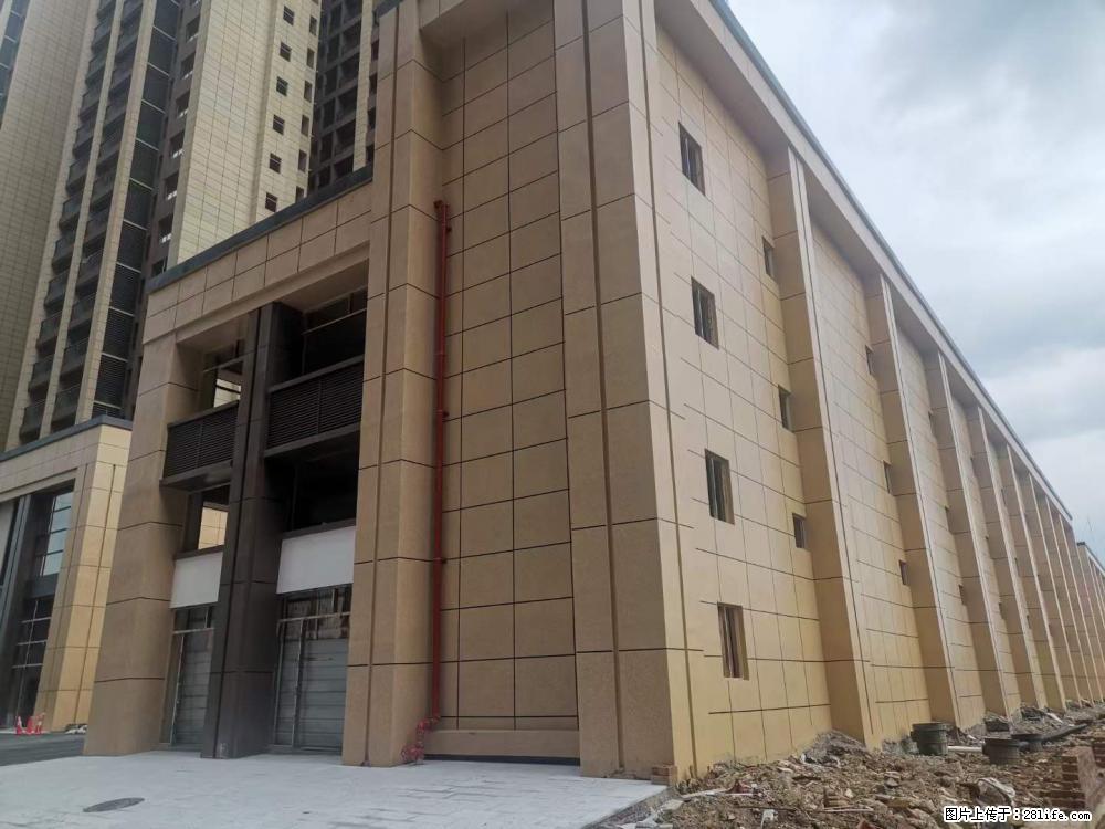 【广西三象建筑安装工程有限公司】外墙涂料工程 - 新手上路 - 巴彦淖尔盟生活社区 - 巴彦淖尔盟28生活网 bycem.28life.com