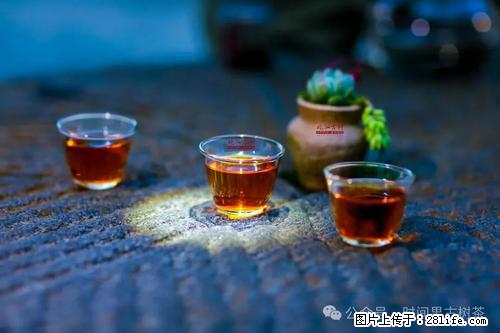 时间果百年古树2025年春红茶 - 购物交流 - 巴彦淖尔盟生活社区 - 巴彦淖尔盟28生活网 bycem.28life.com