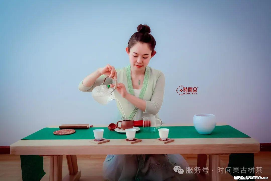 时间果百年古树龙珠普洱生茶 - 购物交流 - 巴彦淖尔盟生活社区 - 巴彦淖尔盟28生活网 bycem.28life.com