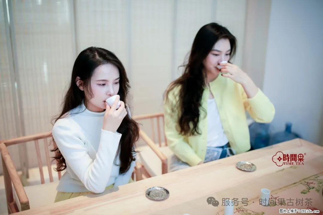 时间果百年古树龙珠普洱生茶 - 购物交流 - 巴彦淖尔盟生活社区 - 巴彦淖尔盟28生活网 bycem.28life.com