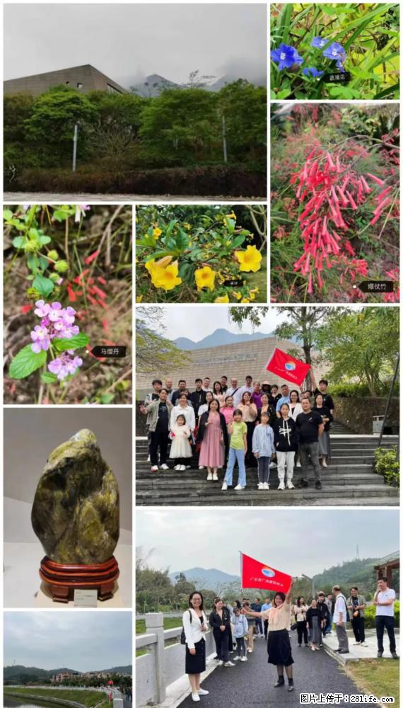 “粤灌文化 美好生活”油茶文化主题活动在广东深圳成功举办 - 巴彦淖尔盟生活资讯 - 巴彦淖尔盟28生活网 bycem.28life.com