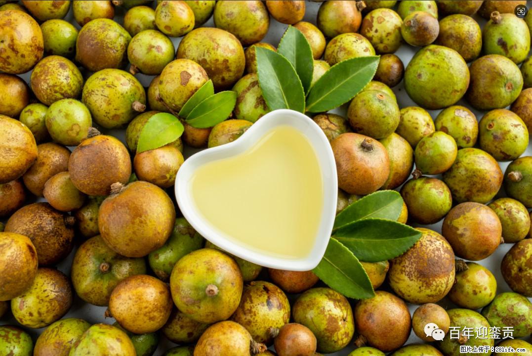 世界没有真相，只有认知，最好的食用油是中国的山茶油！ - 巴彦淖尔盟生活资讯 - 巴彦淖尔盟28生活网 bycem.28life.com