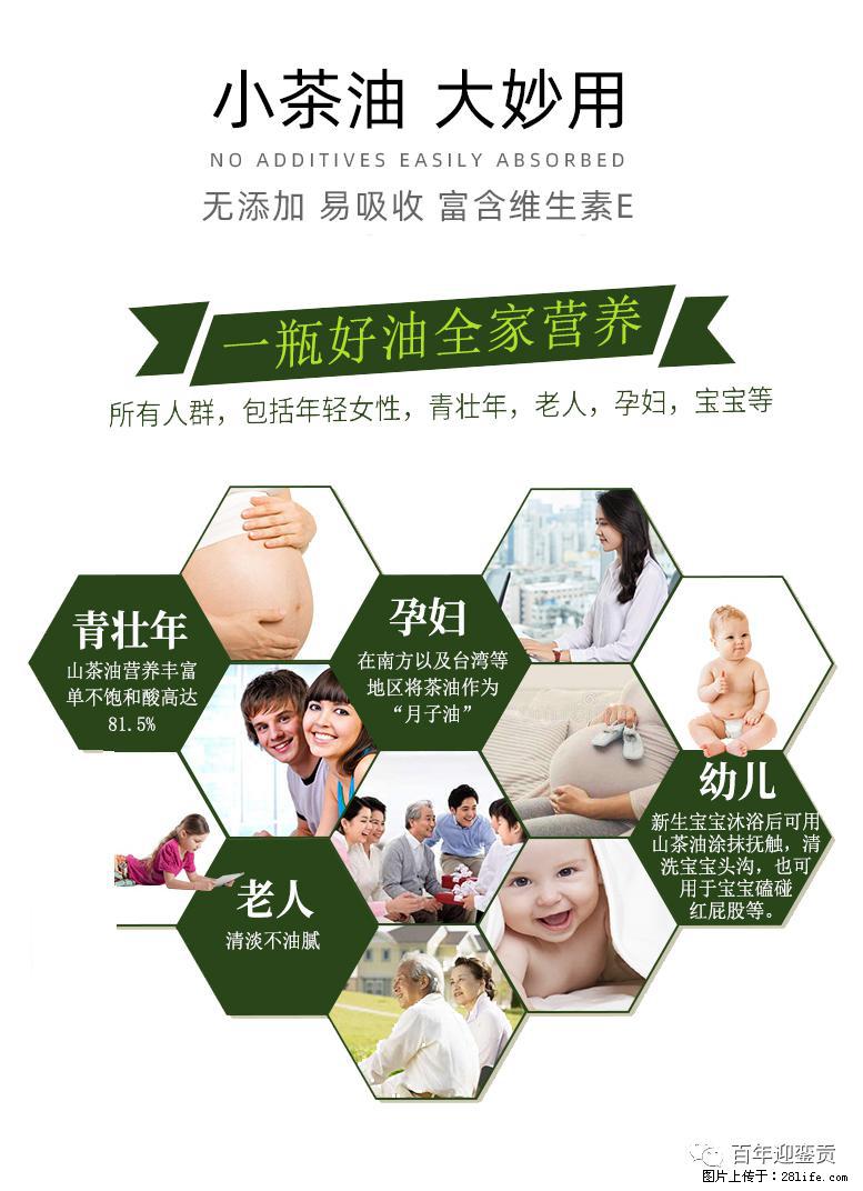 世界没有真相，只有认知，最好的食用油是中国的山茶油！ - 巴彦淖尔盟生活资讯 - 巴彦淖尔盟28生活网 bycem.28life.com