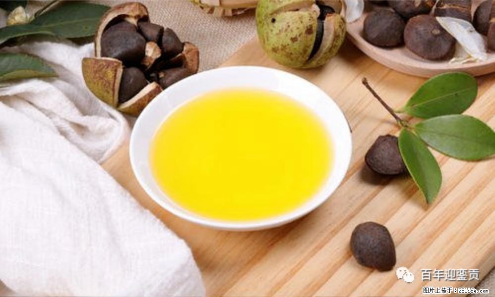 世界没有真相，只有认知，最好的食用油是中国的山茶油！ - 巴彦淖尔盟生活资讯 - 巴彦淖尔盟28生活网 bycem.28life.com