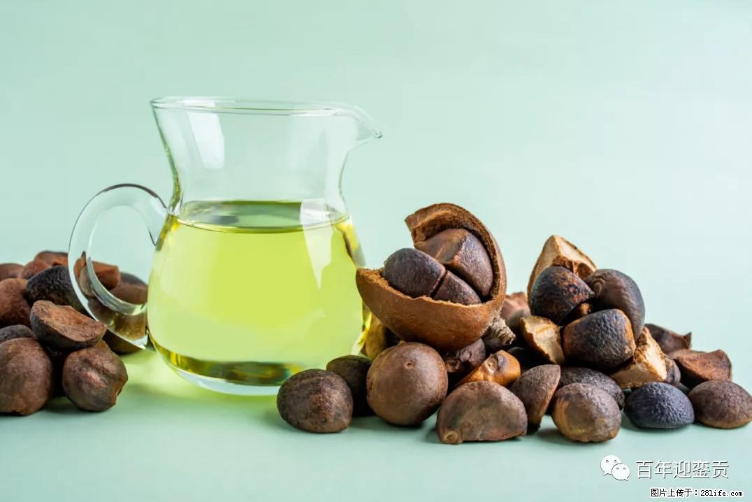 世界没有真相，只有认知，最好的食用油是中国的山茶油！ - 巴彦淖尔盟生活资讯 - 巴彦淖尔盟28生活网 bycem.28life.com