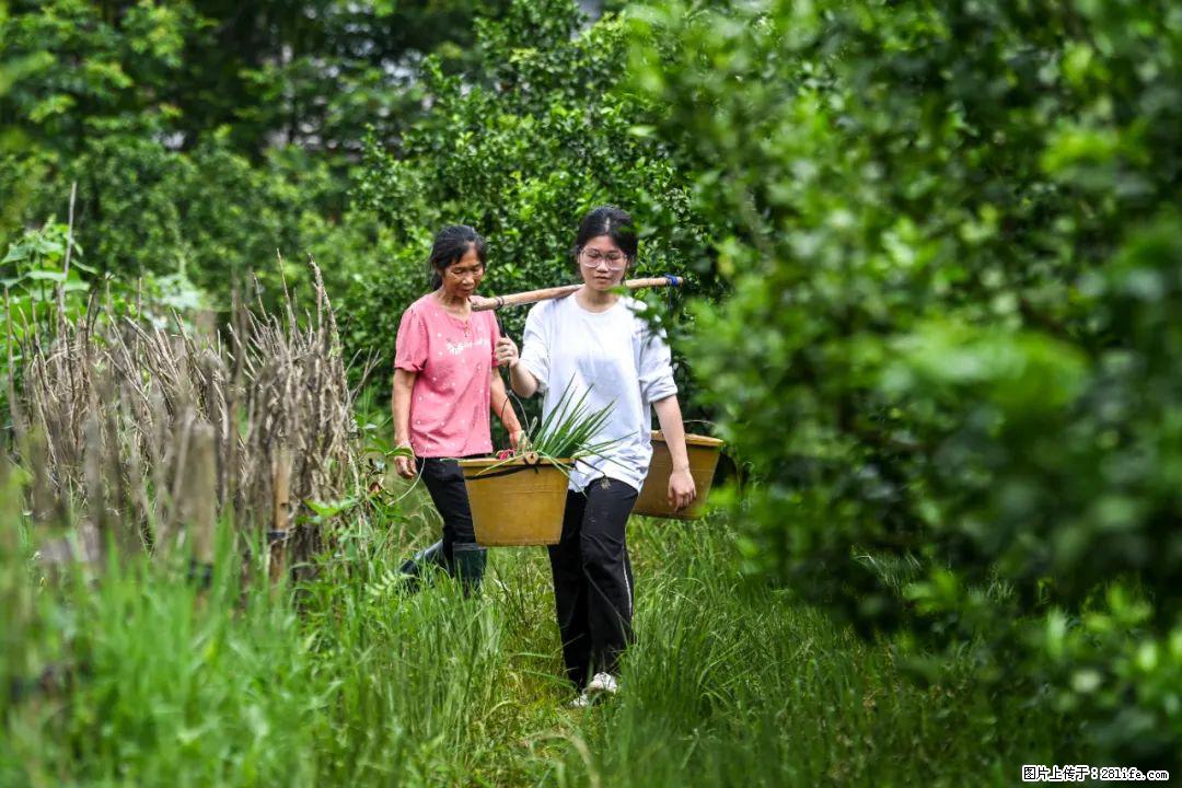 全网追的“扁担女孩”，找了一份暑假工，时薪12元 - 巴彦淖尔盟生活资讯 - 巴彦淖尔盟28生活网 bycem.28life.com