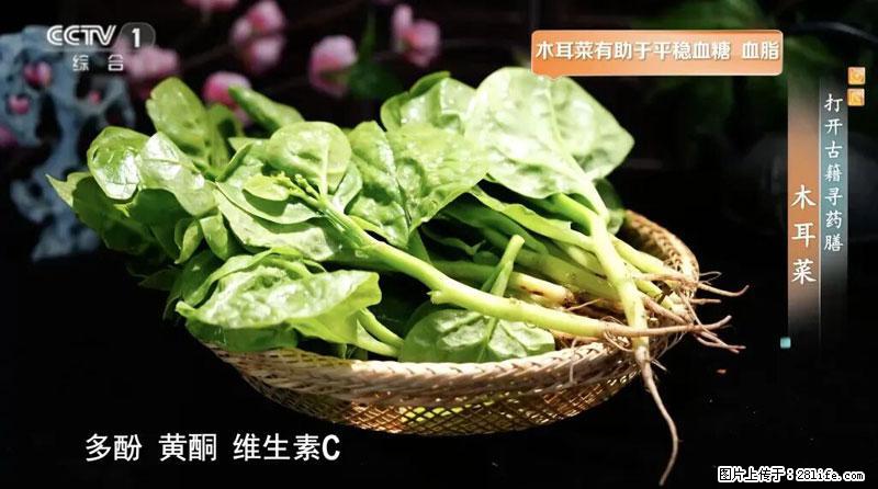 比牛奶补钙还厉害！凉血解毒、稳血糖...这菜冬天必吃，很多人却当草 - 巴彦淖尔盟生活资讯 - 巴彦淖尔盟28生活网 bycem.28life.com