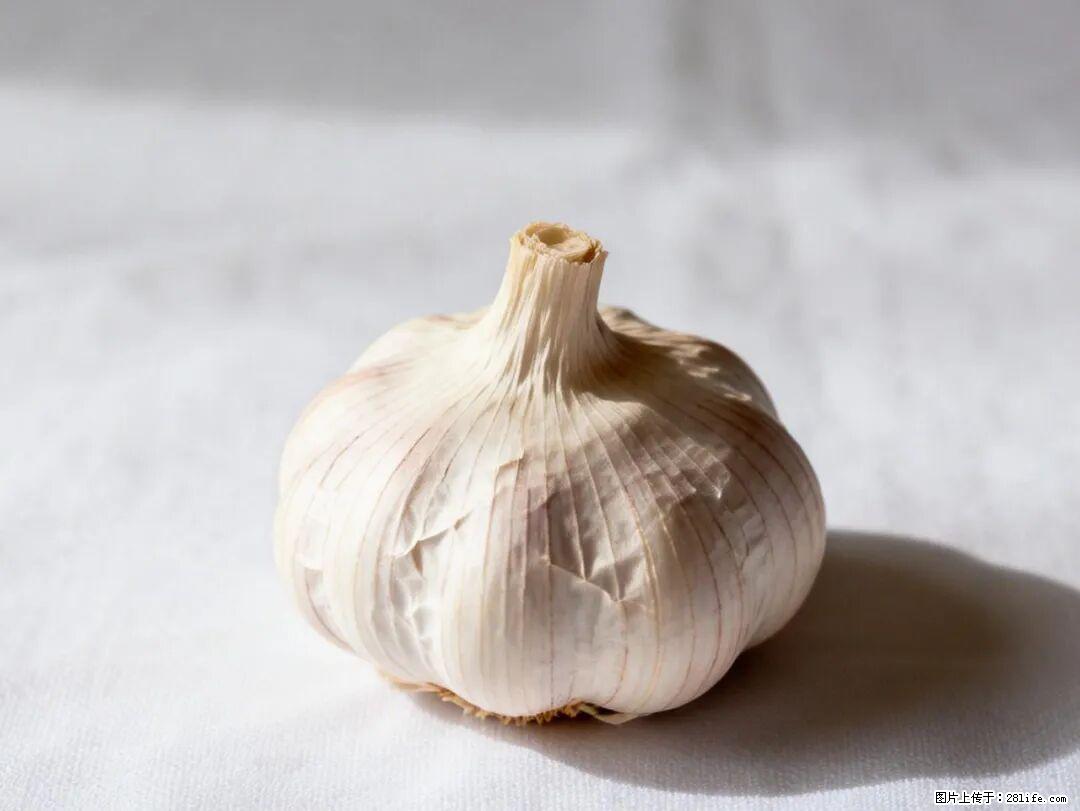 关于大蒜,除了“天然抗生素”,这4个谣言更该警惕! - 巴彦淖尔盟生活资讯 - 巴彦淖尔盟28生活网 bycem.28life.com