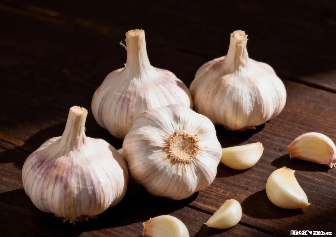 关于大蒜,除了“天然抗生素”,这4个谣言更该警惕! - 巴彦淖尔盟生活资讯 - 巴彦淖尔盟28生活网 bycem.28life.com