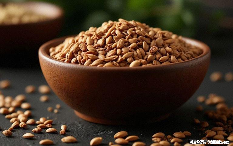 这三苦是三高“克星”，心血管干净不易堵！每天吃一点，指标慢慢降下来~ - 巴彦淖尔盟生活资讯 - 巴彦淖尔盟28生活网 bycem.28life.com