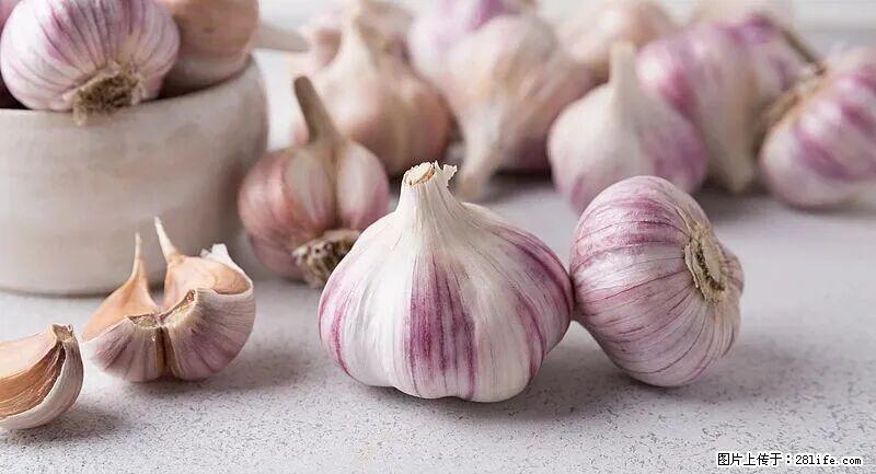 抗菌消炎、护肝健脾！这种“天然青霉素”就在你家餐桌上，春季吃正合适 - 巴彦淖尔盟生活资讯 - 巴彦淖尔盟28生活网 bycem.28life.com