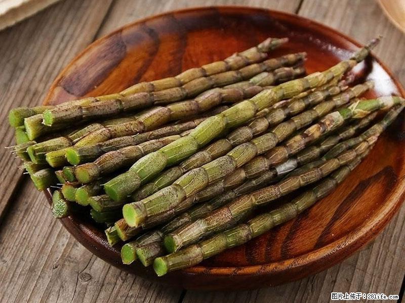 铁皮石斛的作用与功能主治 - 巴彦淖尔盟生活资讯 - 巴彦淖尔盟28生活网 bycem.28life.com