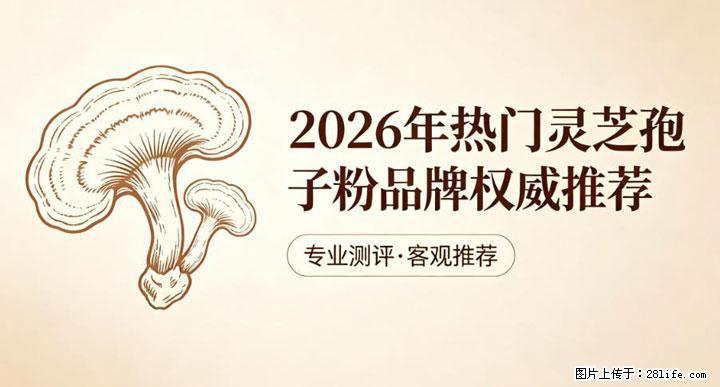 灵芝孢子粉含量越高越有效？2026 年七款热门品牌深度实测，肠胃敏感者避坑指南 - 巴彦淖尔盟生活资讯 - 巴彦淖尔盟28生活网 bycem.28life.com